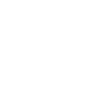 block.settings.icon-image.alt
