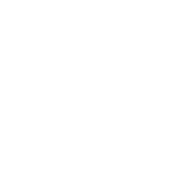 block.settings.icon-image.alt