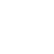 block.settings.icon-image.alt