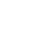 block.settings.icon-image.alt